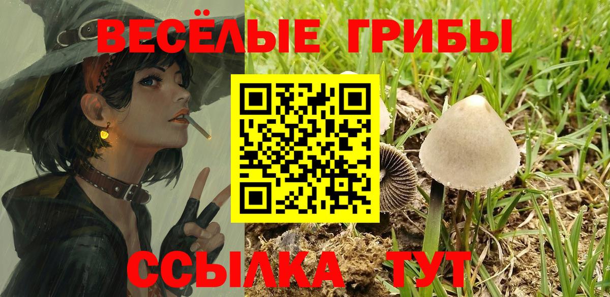 Галлюциногенные грибы Magic Shrooms Ноябрьск