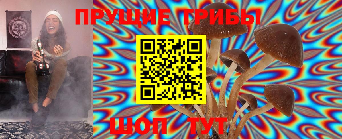 Ноябрьск  Псилоцибиновые грибы Cubensis  Вход с VPN 